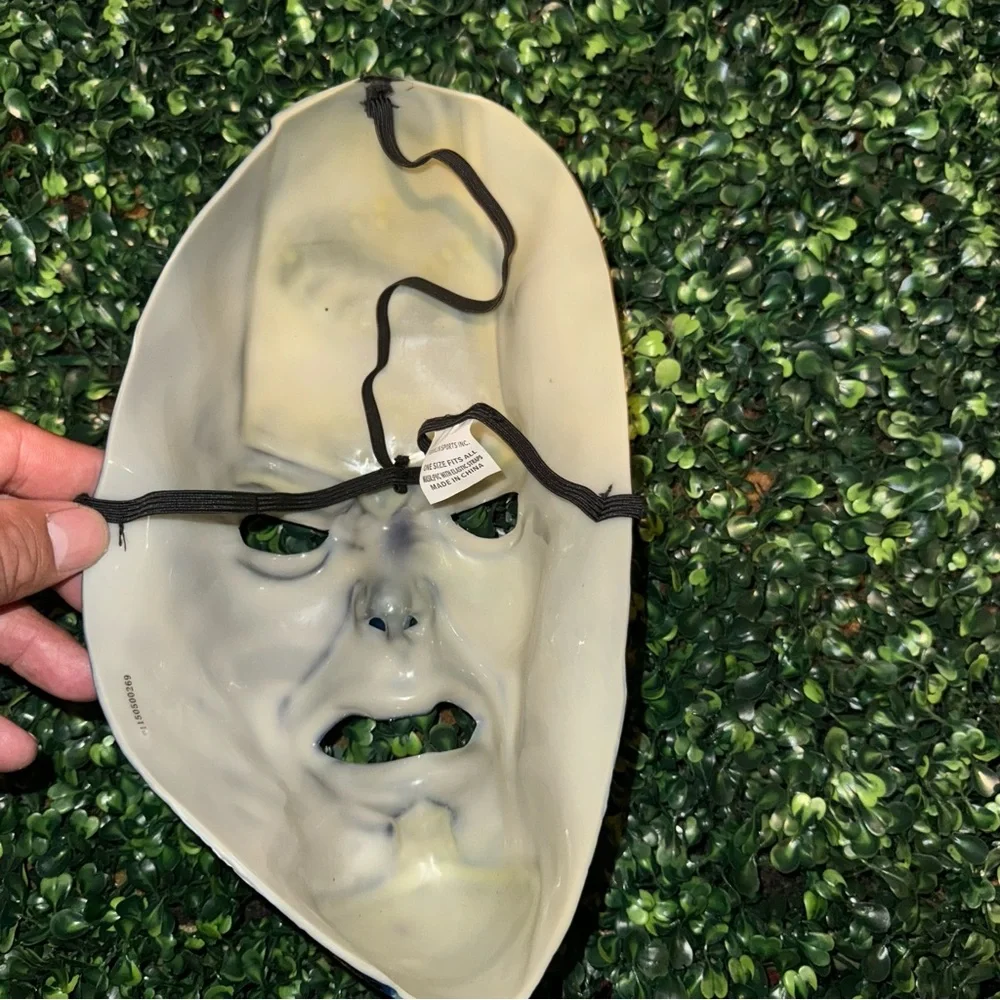 Seattle Seahawks x team fan mask